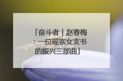 奋斗者｜赵春梅：一位瑶寨女支书的振兴三部曲