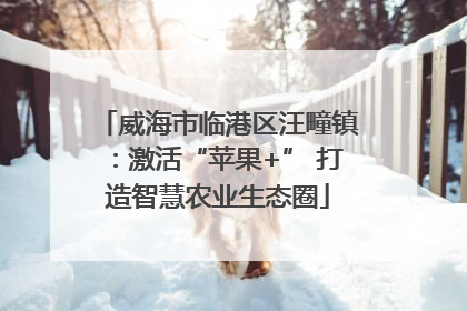 威海市临港区汪疃镇：激活“苹果+” 打造智慧农业生态圈