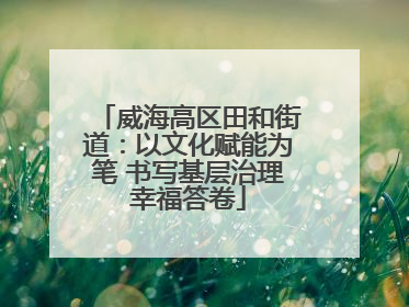 威海高区田和街道：以文化赋能为笔 书写基层治理幸福答卷