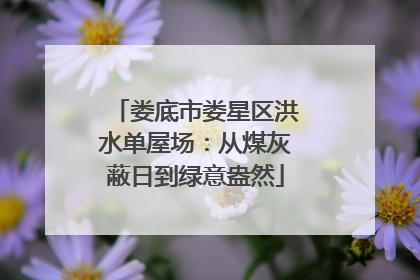 娄底市娄星区洪水单屋场：从煤灰蔽日到绿意盎然