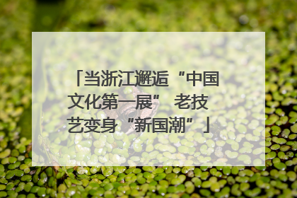 当浙江邂逅“中国文化第一展” 老技艺变身“新国潮”