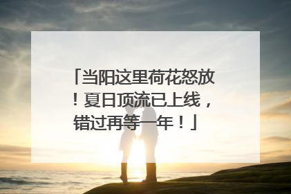当阳这里荷花怒放！夏日顶流已上线，错过再等一年！