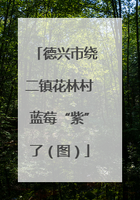 德兴市绕二镇花林村蓝莓“紫”了（图）