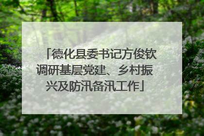 德化县委书记方俊钦调研基层党建、乡村振兴及防汛备汛工作