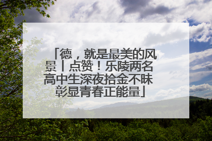 德，就是最美的风景丨点赞！乐陵两名高中生深夜拾金不昧 彰显青春正能量