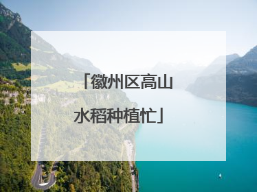 徽州区高山水稻种植忙