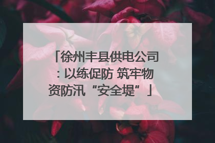 徐州丰县供电公司：以练促防 筑牢物资防汛“安全堤”
