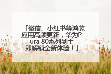 微信、小红书等鸿蒙应用高频更新，华为Pura 80系列到手即解锁全新体验！