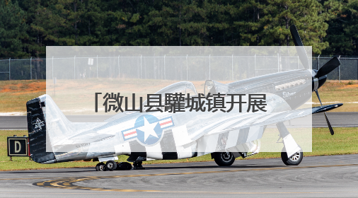 微山县驩城镇开展食品安全专项检查