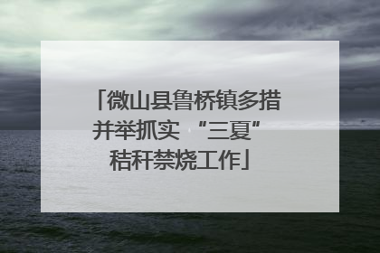 微山县鲁桥镇多措并举抓实 “三夏” 秸秆禁烧工作