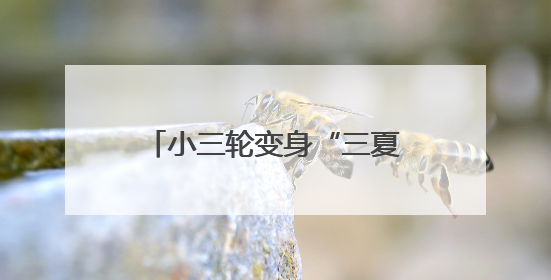 小三轮变身“三夏”移动服务站 暖心服务直达田间地头