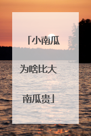 小南瓜为啥比大南瓜贵