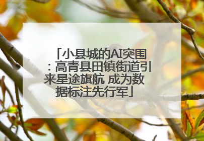 小县城的AI突围：高青县田镇街道引来星途旗航 成为数据标注先行军