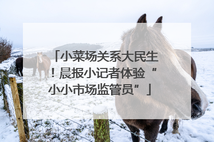 小菜场关系大民生！晨报小记者体验“小小市场监管员”