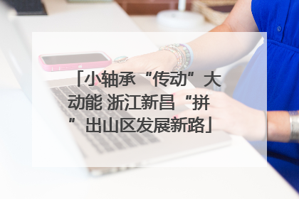 小轴承“传动”大动能 浙江新昌“拼”出山区发展新路