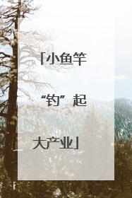 小鱼竿“钓”起大产业