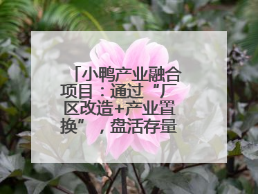 小鸭产业融合项目：通过“厂区改造+产业置换”，盘活存量，增值增效
