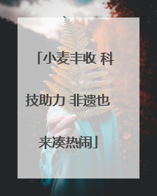 小麦丰收 科技助力 非遗也来凑热闹