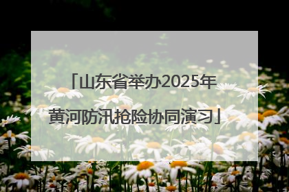 山东省举办2025年黄河防汛抢险协同演习