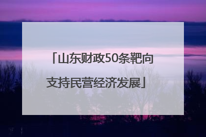 山东财政50条靶向支持民营经济发展