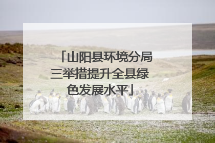 山阳县环境分局三举措提升全县绿色发展水平