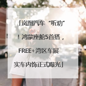 岚图汽车“听劝”！鸿蒙座舱5首搭，FREE+湾区车展实车内饰正式曝光