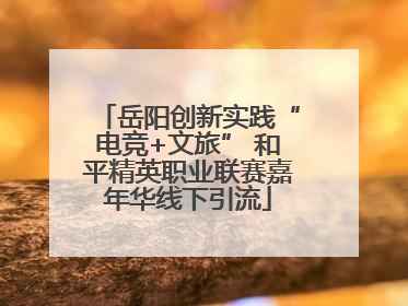 岳阳创新实践“电竞+文旅” 和平精英职业联赛嘉年华线下引流
