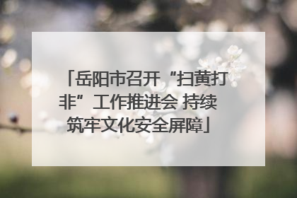 岳阳市召开“扫黄打非”工作推进会 持续筑牢文化安全屏障