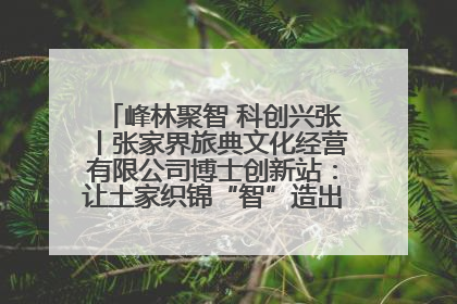 峰林聚智 科创兴张丨张家界旅典文化经营有限公司博士创新站：让土家织锦“智”造出非遗新传奇