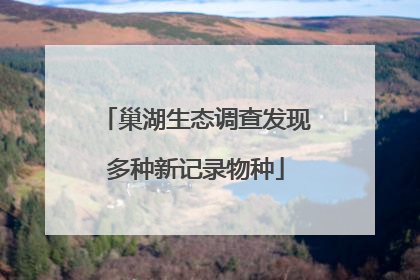 巢湖生态调查发现多种新记录物种