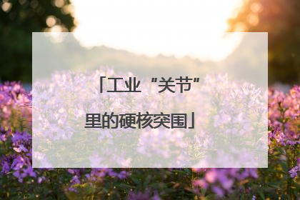 工业“关节”里的硬核突围