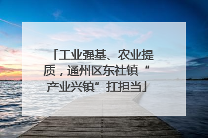 工业强基、农业提质，通州区东社镇“产业兴镇”扛担当