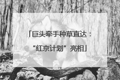 巨头牵手种草直达：“红京计划”亮相