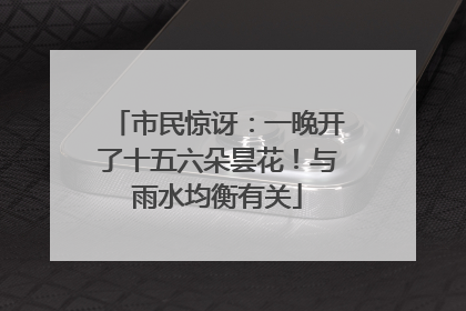 市民惊讶：一晚开了十五六朵昙花！与雨水均衡有关