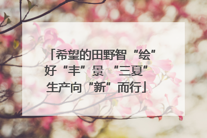 希望的田野智“绘”好“丰”景 “三夏”生产向“新”而行