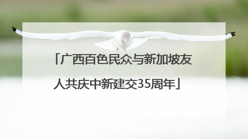 广西百色民众与新加坡友人共庆中新建交35周年