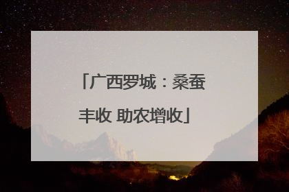 广西罗城：桑蚕丰收 助农增收