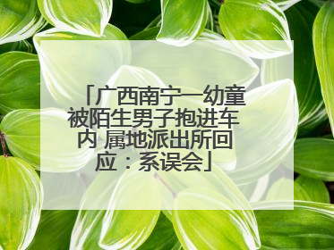 广西南宁一幼童被陌生男子抱进车内 属地派出所回应：系误会