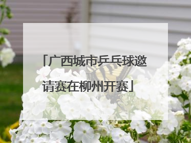 广西城市乒乓球邀请赛在柳州开赛