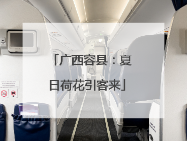 广西容县：夏日荷花引客来