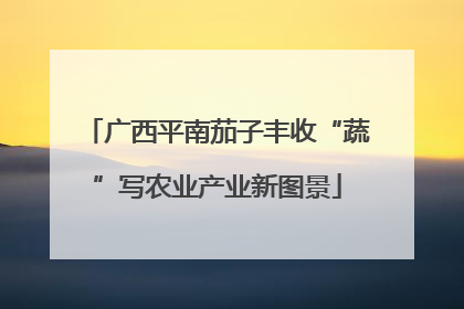 广西平南茄子丰收“蔬”写农业产业新图景