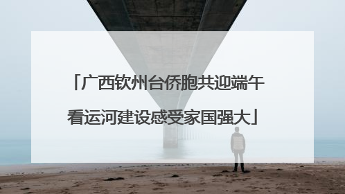 广西钦州台侨胞共迎端午 看运河建设感受家国强大