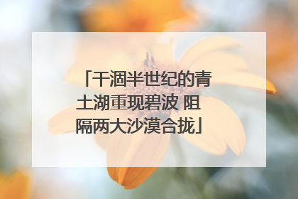 干涸半世纪的青土湖重现碧波 阻隔两大沙漠合拢