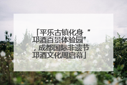 平乐古镇化身“邛酒百景体验园”，成都国际非遗节邛酒文化周启幕