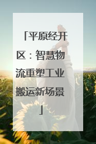 平原经开区：智慧物流重塑工业搬运新场景