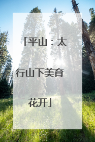 平山：太行山下美育花开