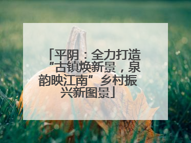 平阴：全力打造“古镇焕新景，泉韵映江南”乡村振兴新图景