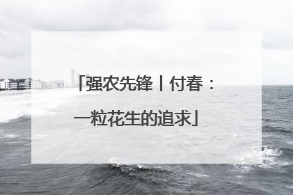 强农先锋丨付春：一粒花生的追求