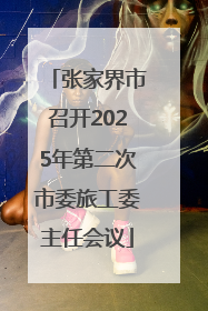 张家界市召开2025年第二次市委旅工委主任会议