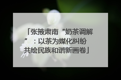 张掖肃南“奶茶调解”：以茶为媒化纠纷 共绘民族和谐新画卷